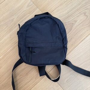 Everlane Nylon Mini Backpack